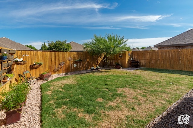 view of yard