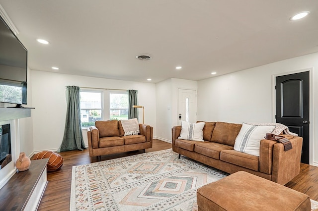 living room featuring hardwood / wood-style floors