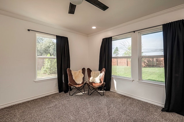 sitting room with ceiling fan, crown molding, and carpet floors