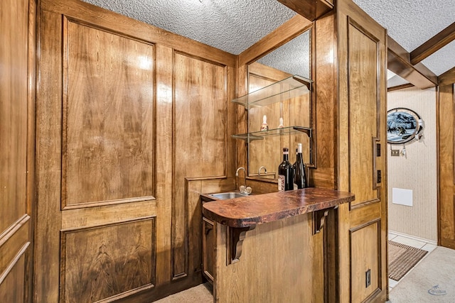 interior space featuring light carpet, wet bar, a textured ceiling, wood walls, and a sink