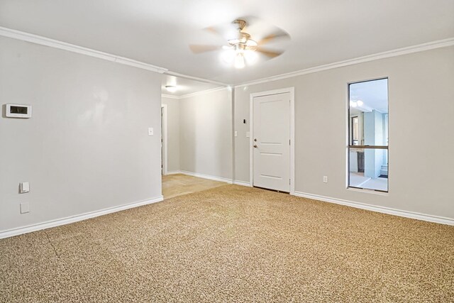 unfurnished room with ceiling fan, carpet, and ornamental molding