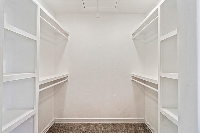 walk in closet featuring carpet floors