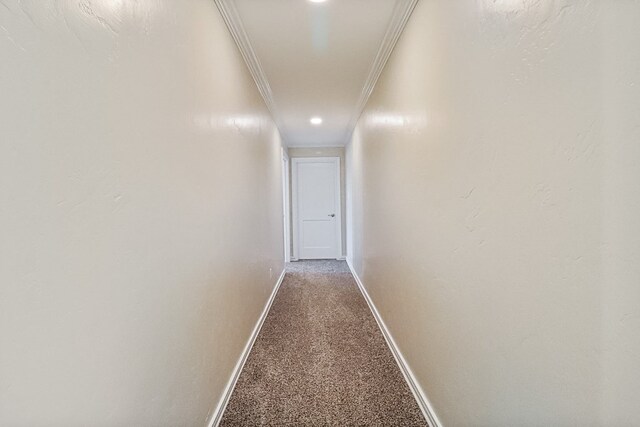 corridor featuring carpet floors and ornamental molding