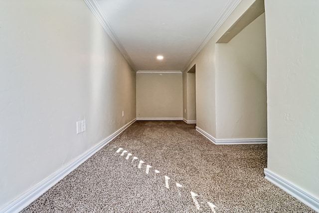 interior space with carpet and ornamental molding