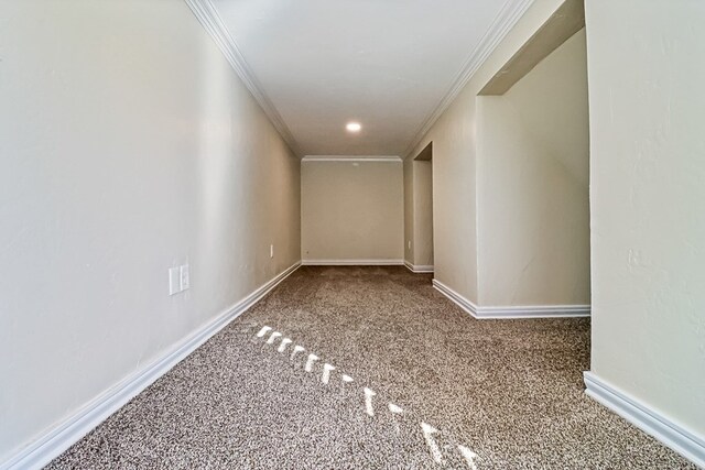 interior space with carpet floors and ornamental molding