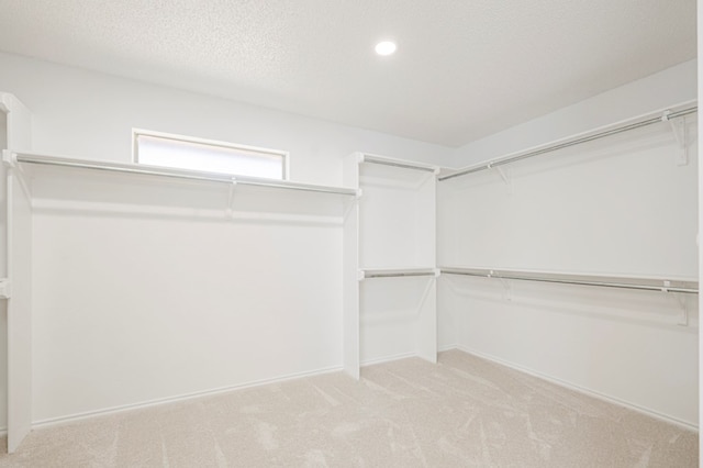 spacious closet with light carpet