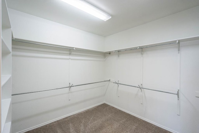 spacious closet with carpet