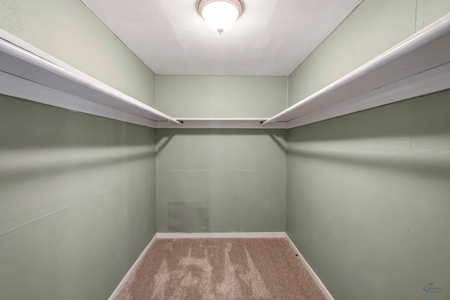 spacious closet featuring carpet floors