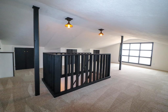 additional living space with a textured ceiling, light carpet, and vaulted ceiling