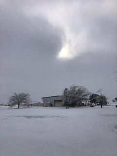 view of snowy yard