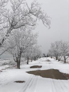 view of snowy yard