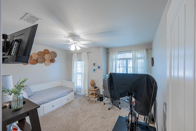 office space featuring healthy amount of natural light, carpet flooring, a textured ceiling, and ceiling fan