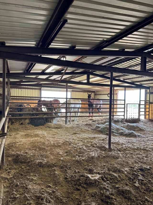 view of horse barn