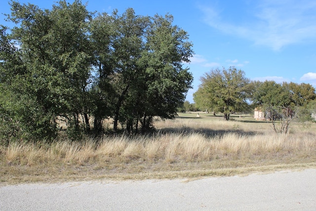 Listing photo 2 for TBD Safe Harbor Dr, Brownwood TX 76801