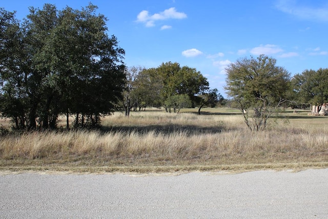 TBD Safe Harbor Dr, Brownwood TX, 76801 land for sale