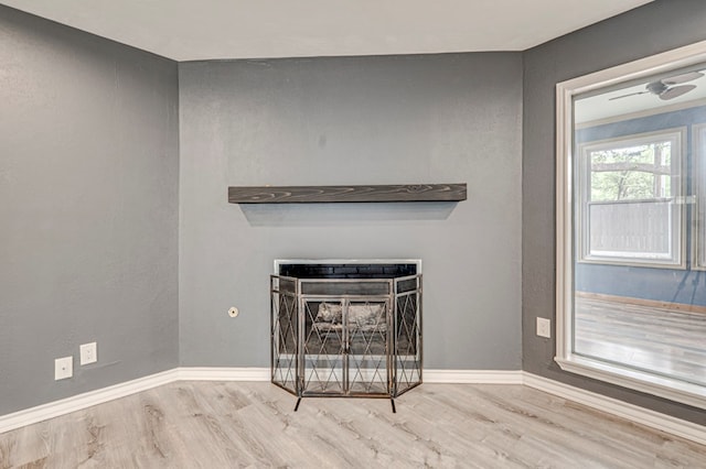 room details featuring baseboards, a fireplace, and wood finished floors