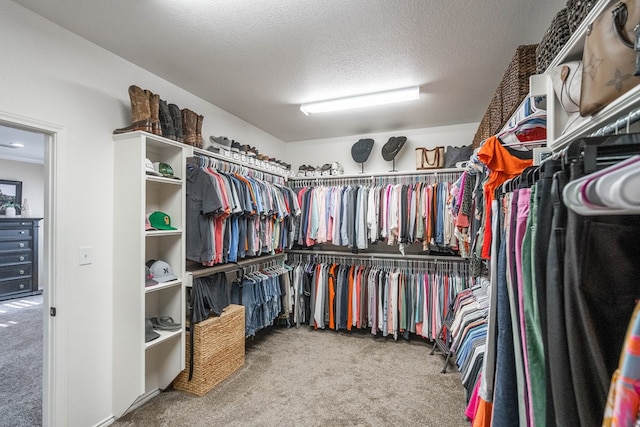 spacious closet featuring carpet