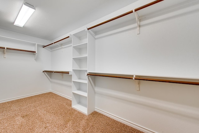 spacious closet with light colored carpet