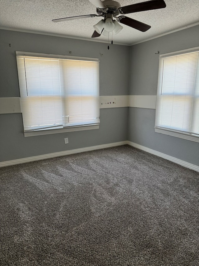 empty room featuring a textured ceiling, a wealth of natural light, and carpet