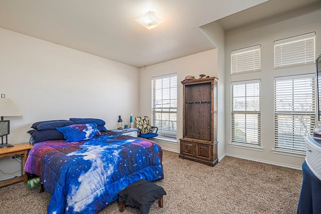 bedroom with carpet