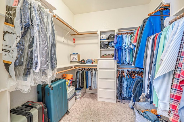 spacious closet featuring light carpet