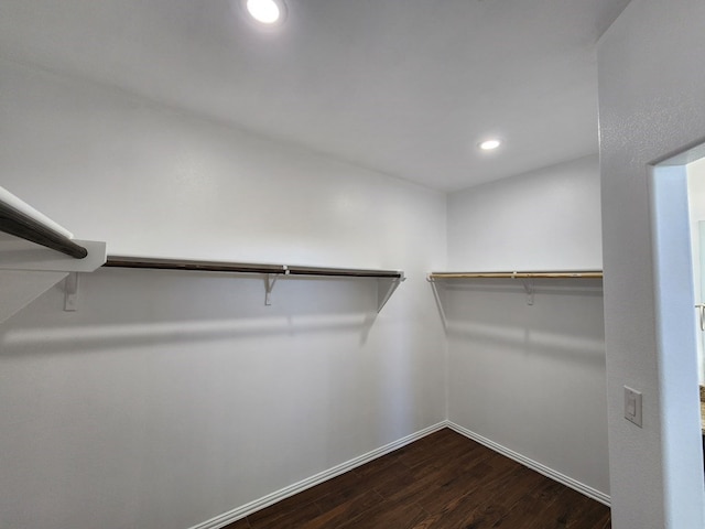 walk in closet with dark wood-style flooring