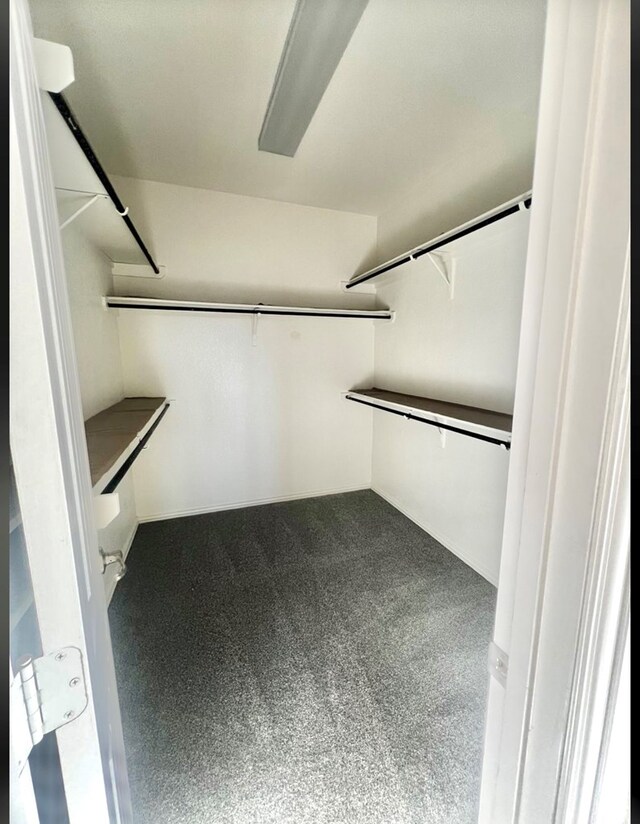 walk in closet featuring carpet flooring