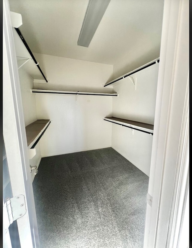 6609 Colony Rd, Midland, TX 79706 - walk in closet featuring carpet flooring