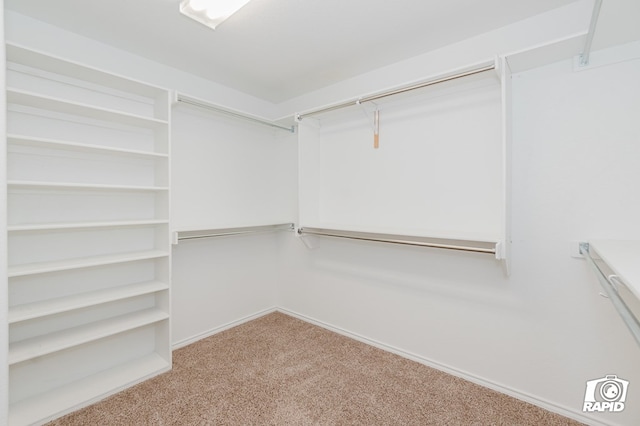 spacious closet with carpet flooring