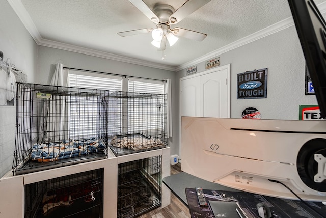 3811 Tanner Dr, Midland, TX 79703 - photo 11