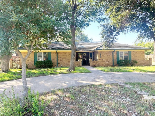 ranch-style house featuring a front yard