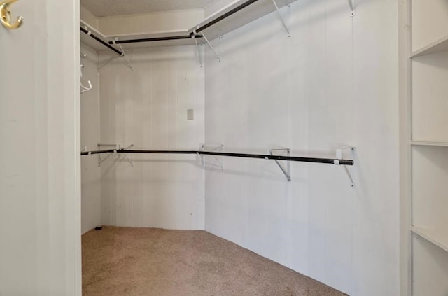 spacious closet with carpet