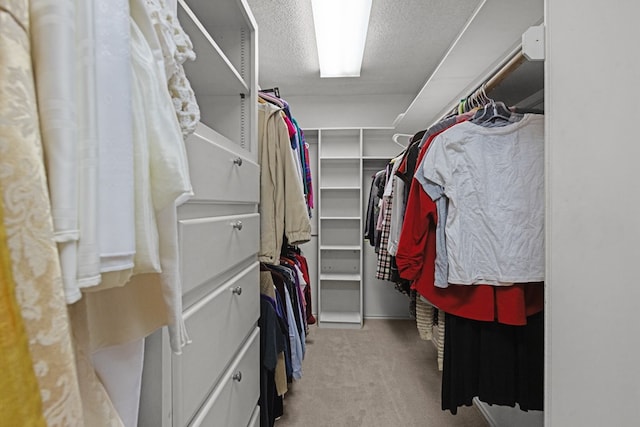 walk in closet featuring carpet floors