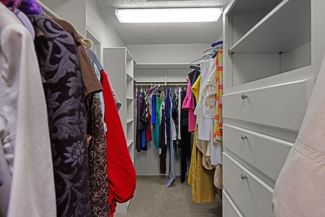 walk in closet with carpet floors