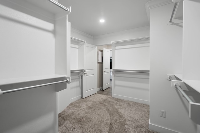 walk in closet featuring light colored carpet