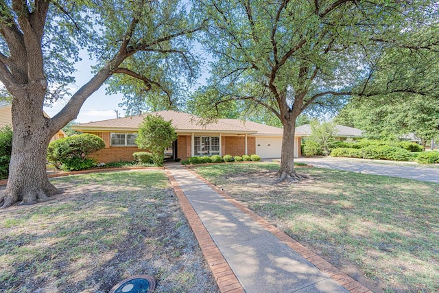 3525 Stanolind Ave, Midland, TX 79707 - ranch-style home with concrete driveway, a garage, brick siding, and a front lawn