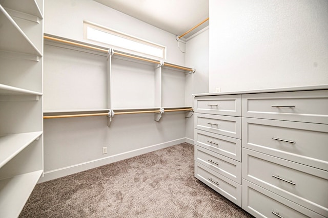 spacious closet with light carpet