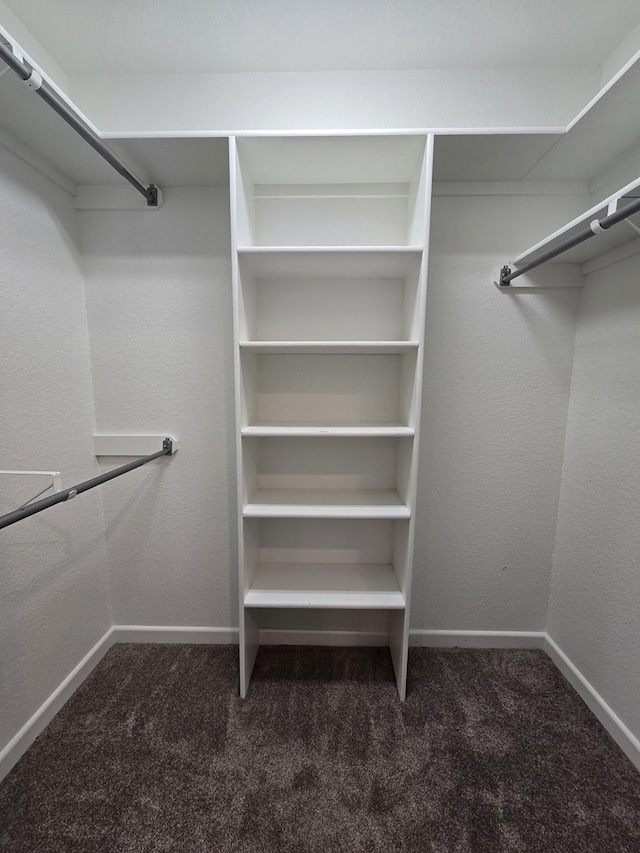 walk in closet with dark carpet