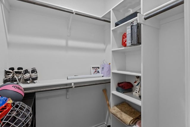 view of spacious closet