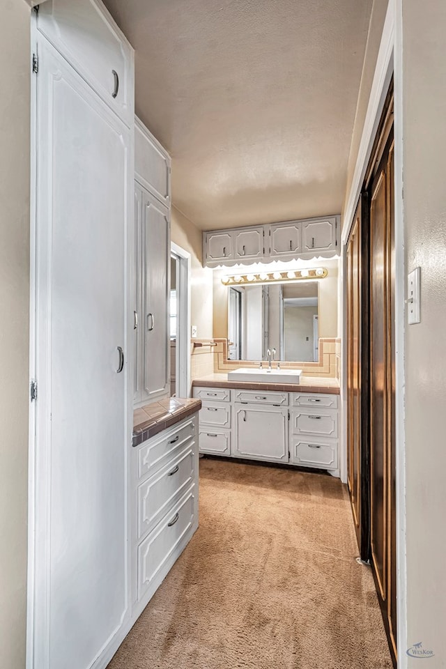 1510 W School St, Stanton, TX 79782 - bathroom with vanity and carpet