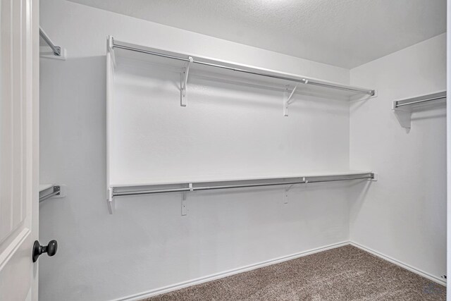 2803 S County Rd 1069, Midland, TX 79706 - photo 22