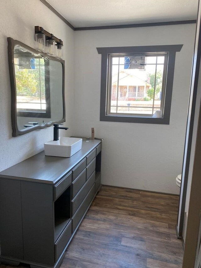 bathroom with crown molding, hardwood / wood-style floors, vanity, and toilet