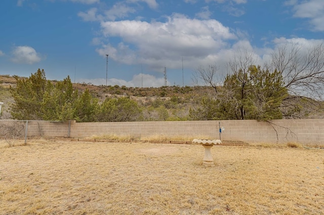 view of yard