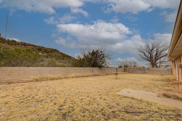 view of yard