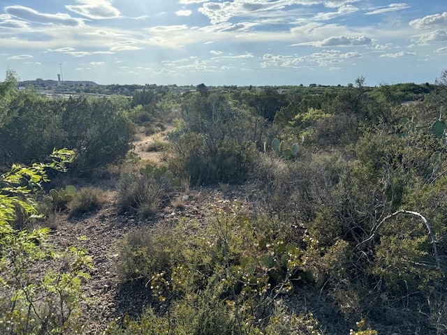 000 Oak Gln, Big Spring TX, 79720 land for sale