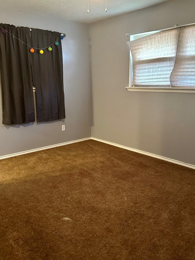 spare room with carpet