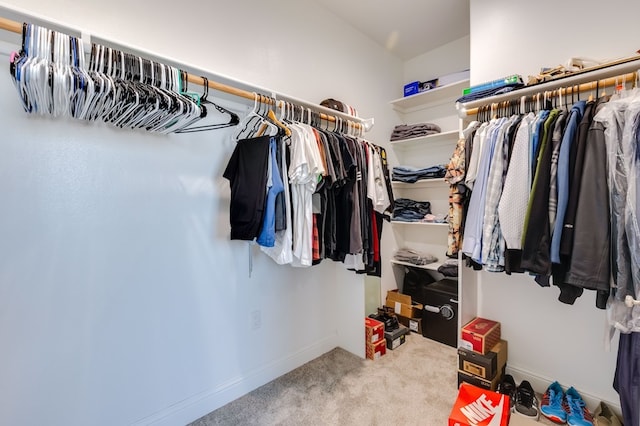 spacious closet featuring carpet floors