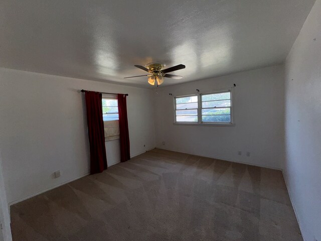 812 Lawson Ave, Midland, TX 79701 - photo 10