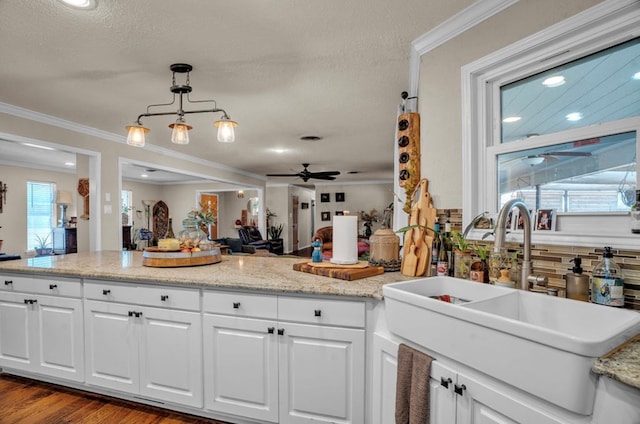 kitchen with white cabinetry, crown molding, dark wood-type flooring, and a sink