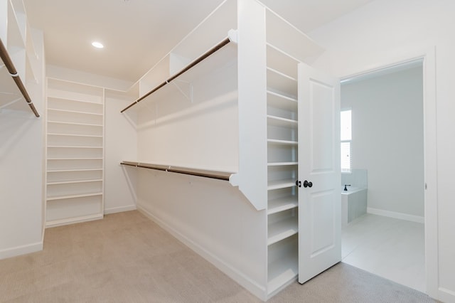 walk in closet with carpet flooring